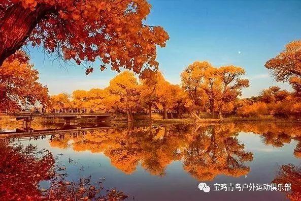 30岁章泽天伦敦被偶遇,身后跟助理气场强大,脸小人美很惊艳!