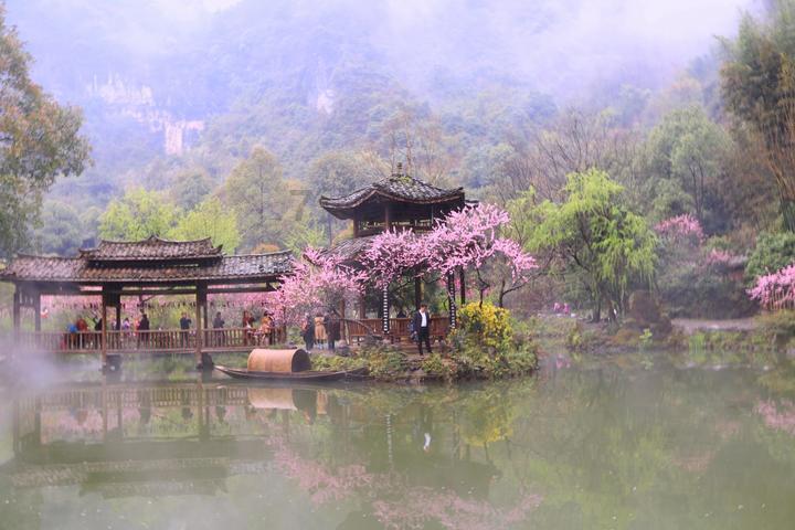 “听见”两会 | 海南省人大代表王加充：做好老年医疗与健康管理需要三管齐下